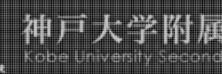 Header image for Kobe University Secondary School