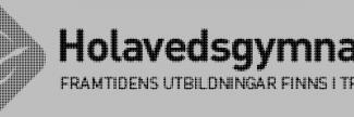 Header image for Holavedsgymnasiet